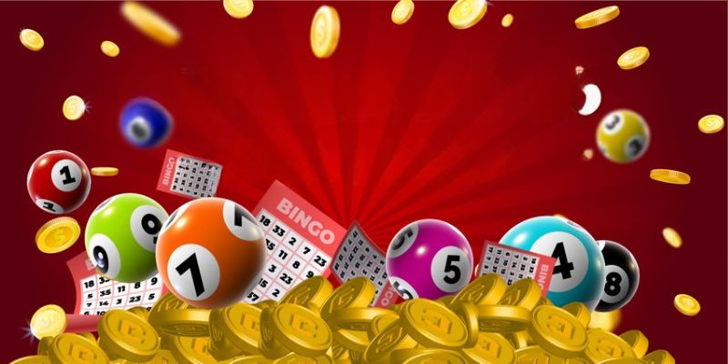 Giới thiệu đôi nét về xổ số power draw 1XBIT